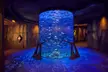 Explore the Lost World Aquarium at Atlantis – Entry Tickets for Kids, Adults & Families (Up To 56% Off) - Image 5