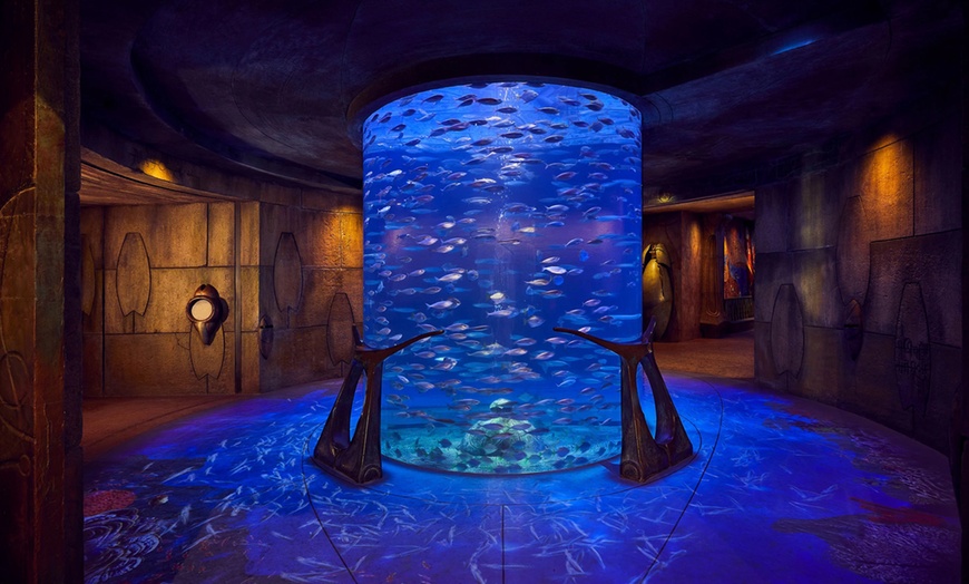 Image 5: Entry Tickets for Kids, Adults & Families to the Lost World Aquarium