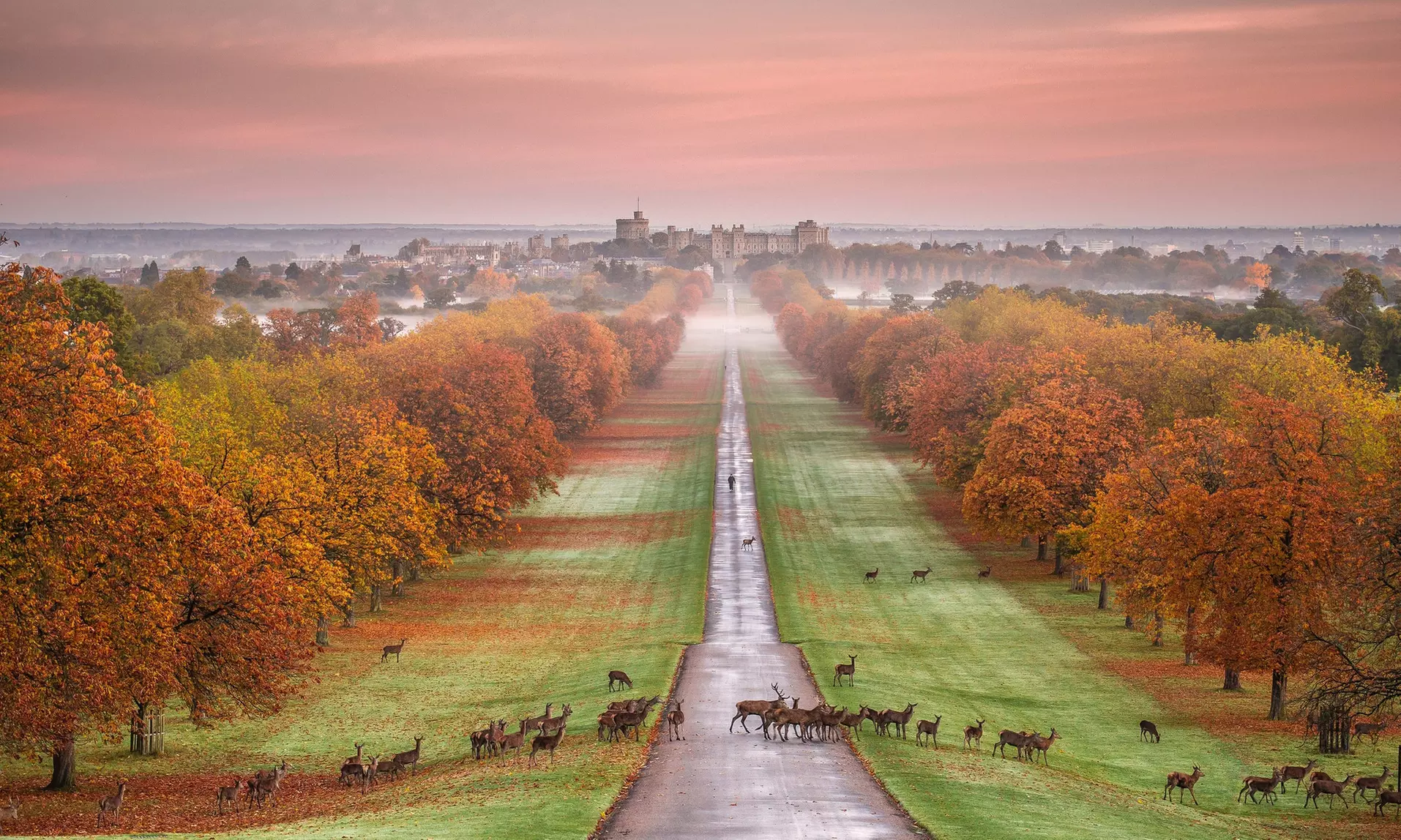 Royal Windsor Afternoon Tea Bus Tour | Family Day Out!