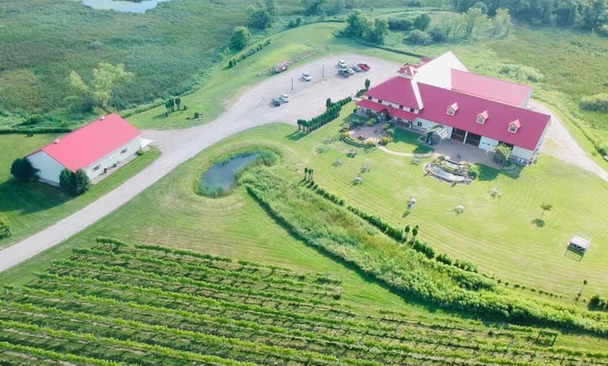 Image 6: Wine Flights, Hungarian Pizza, & Souvenir Wine Glasses for Two or Four