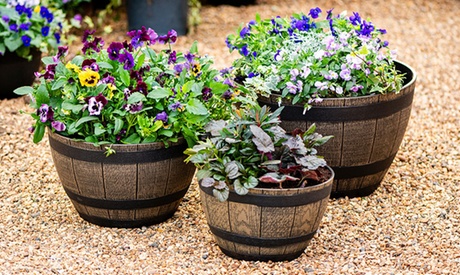 Groupon Unisex Rust Ic Wooden Barrel Effect Planter Set: Small/Two