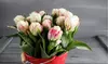 Double Scoop Ice Cream Tulip Flowers (3, 6, & 12 Bulbs With Planting Tool)
