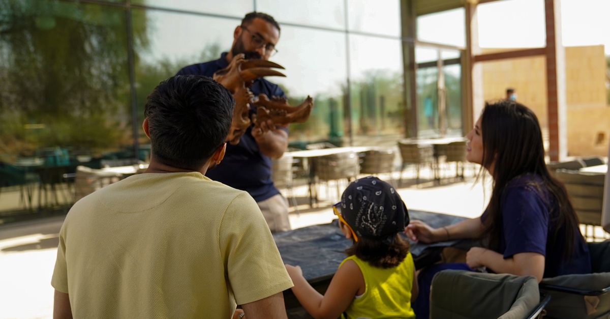 Fossil Hunt (standard & Premium), Flora & Fauna, Space Camp And More Fossil Hunt (standard & Premium), Flora & Fauna, Space Camp And More