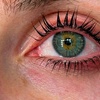 Image 2: Eyelash Lift or Lift with Tint for Naturally Defined Lashes