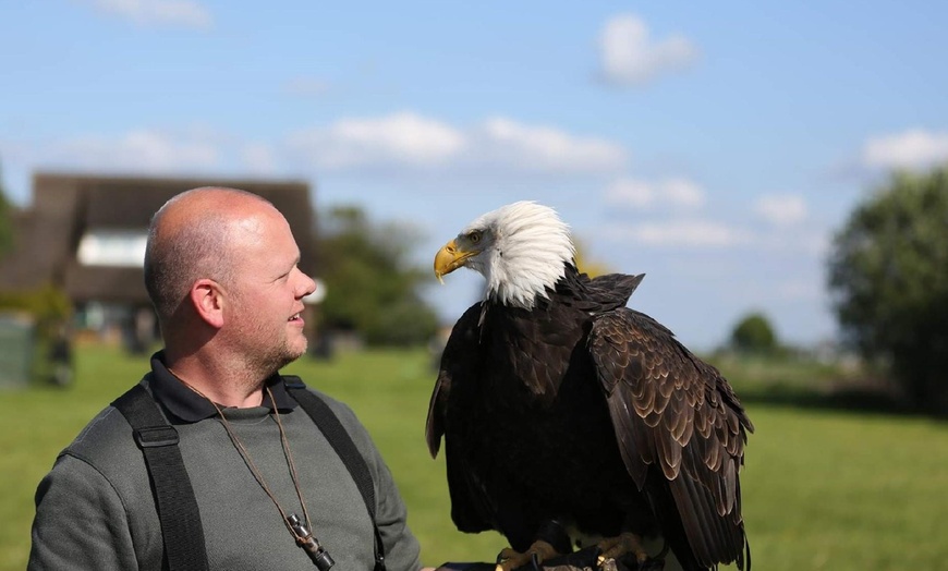 Image 2: Roofvogelworkshop