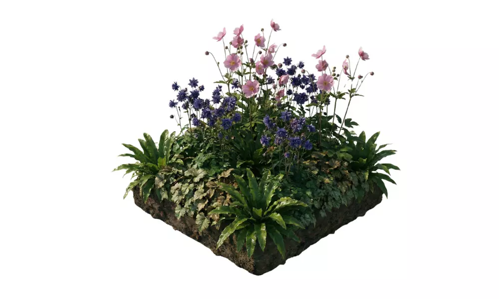 NatureNest borderpakket Nora