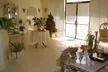 Pampering Package - Massage, Hot Towels, Aromatherapy & Facial at Dermal Rejuvenation & Day Spa! Up To 34% Off - Second Medium
