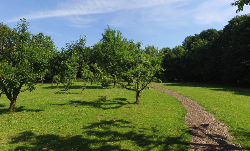 Image 20: Teutoburger Wald: 2 Nächte mit Verpflegung und Yoga-Seminar