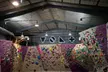 Odkryj bouldering: jednorazowe wejście bez limitu czasu do Boulderowni Volt – 3 miasta (do -29%) - Image 2