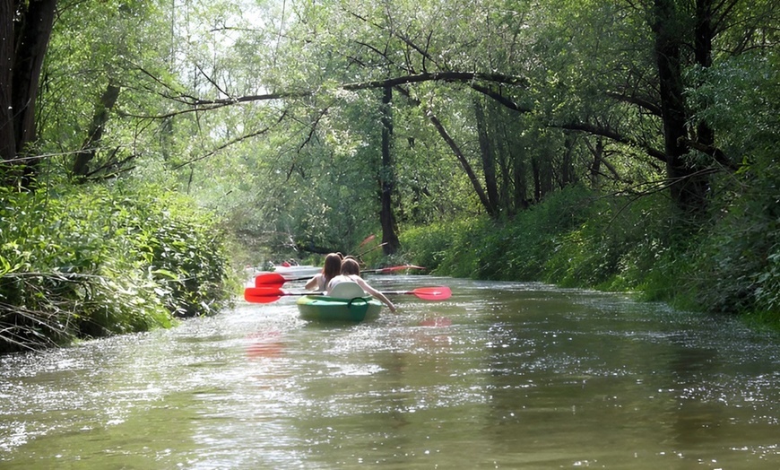 Image 2: Trek eropuit in de Biesbosch met unieke routes per kano of sup