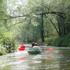 Image 2: Trek eropuit in de Biesbosch met unieke routes per kano of sup