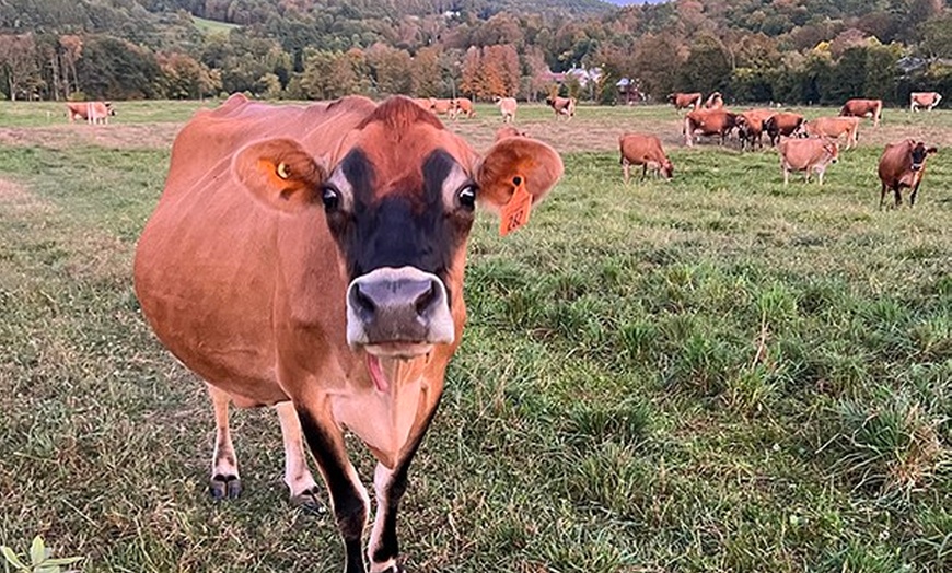 Image 6: Experience Billings Farm And Museum