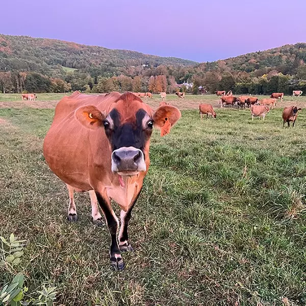 Experience Billings Farm And Museum's History Museum