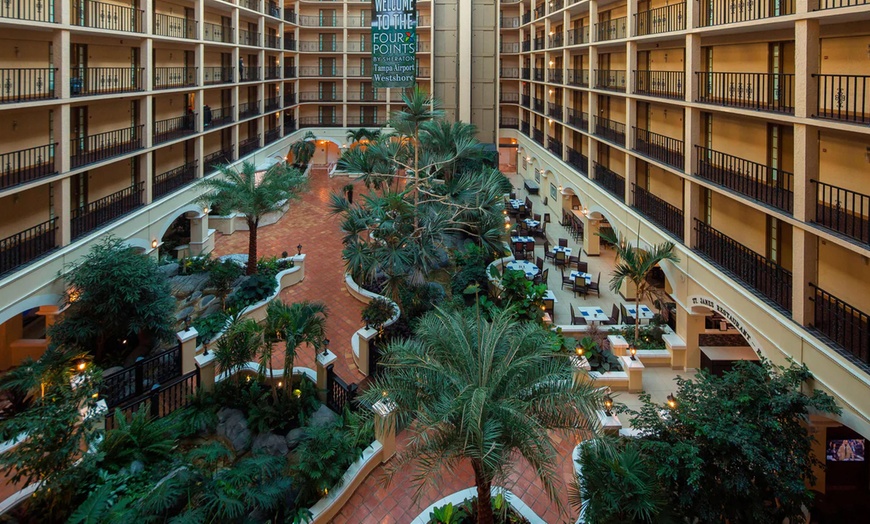Image 2: Budget Hotel in Westshore District Near Tampa Airport & Riverwalk
