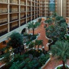 Image 2: Budget Hotel in Westshore District Near Tampa Airport & Riverwalk
