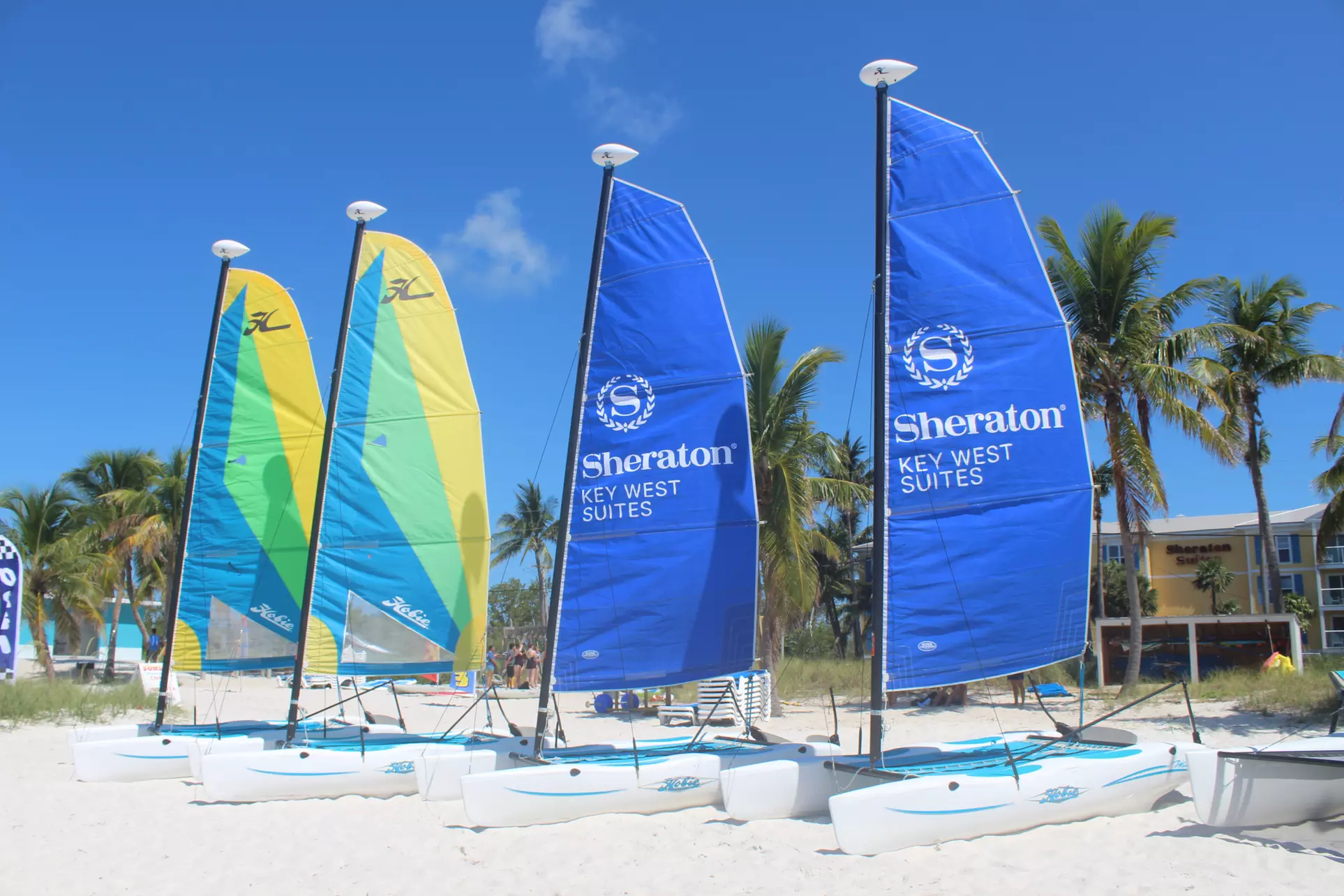 Kayak or Paddle Board Rentals at Sunset Watersports  