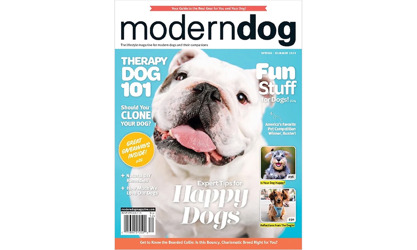 62% Off Modern Dog Magazine Subscription