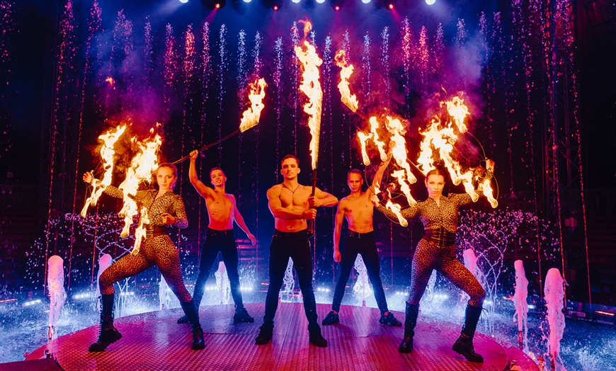 Image 3: Ticket für den "Waterland Zirkus"