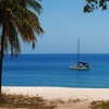 Image 9: Four-Hour Catamaran Cruise with Lunch for Up to 20 People