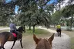 Paseo a caballo por la zona de Peña Grande y Dehesa Quemada para 1 o 2 personas, con material incluido, al 31% - Image 4