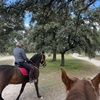 Image 4: Paseo a caballo con todo el material incluido para 1 o 2 personas