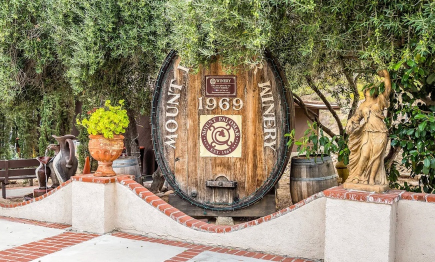 Image 14: Wine Cave Tasting Experience with Scenic Vineyard Views