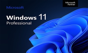 Windows 11 Pro Lifetime Subscription at Microsoft