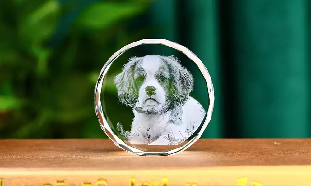 Custom 3D Photo-Engraved Crystal Keepsake — Personalized Laser-Etched Grad Gift in Multiple Shapes & Sizes (Up to 87% Off)