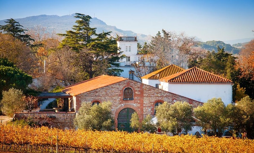 Image 6: Visite du domaine de Rombeau et découverte de vin 