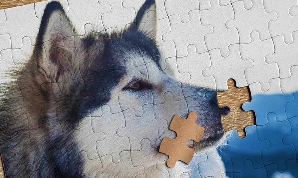 1 ou 2 puzzles personnalisés 88 ou 300 pièces avec Photo Gift