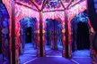 General Admission for 1, 2 or 4 People to Ripley's Adventure Maze at Wildwood Mirror Maze (Up to 25% Off) - Second Medium