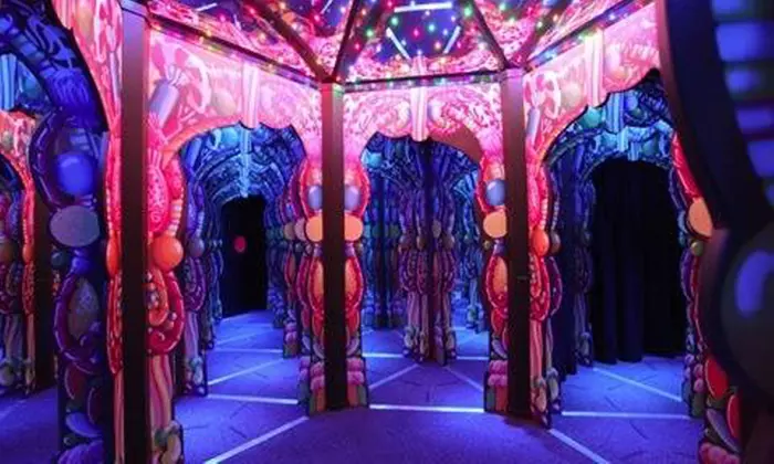 General Admission for 1, 2 or 4 People to Ripley's Adventure Maze 