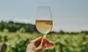 Explore Domaine du Ridge with The Epicurean Tour and Tasting Package for Up to Four People (Up to 36%Off)