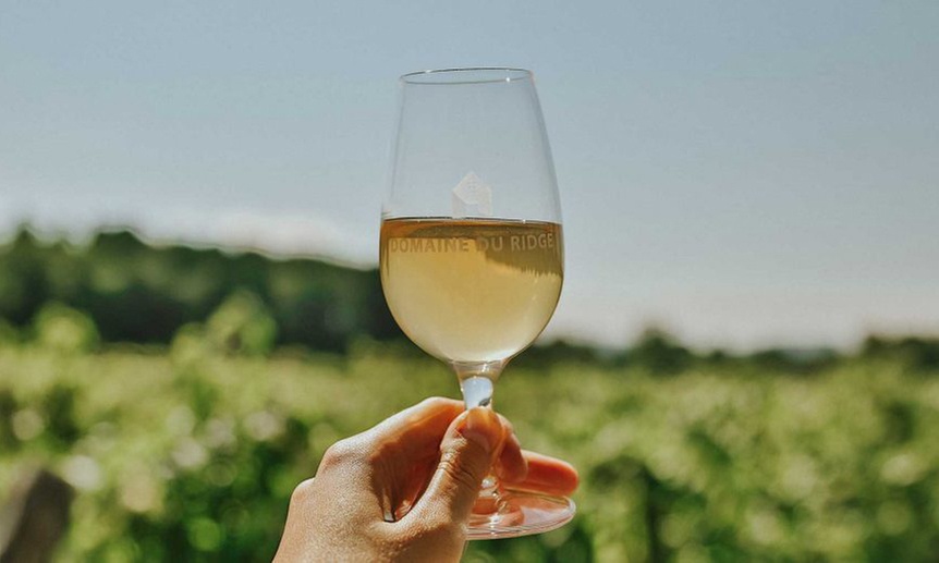 Embark on a The Epicurean Tour & Tasting Package for Up to Four People