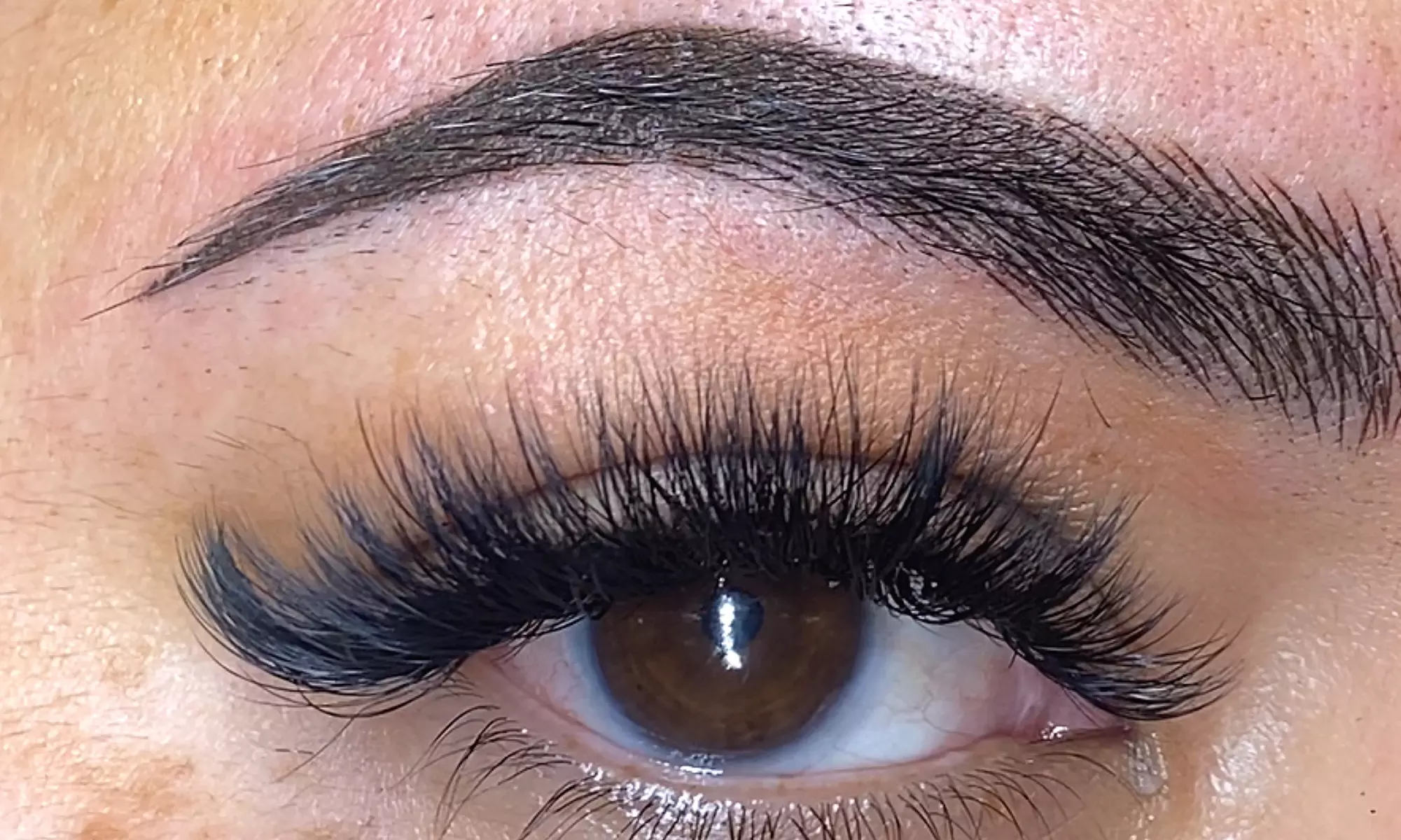Brow, Lip, Lash & Scalp Enhancement Treatments @ Phoenix Lash & Brows
