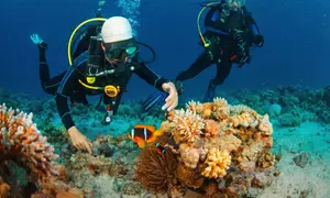 Save Up to 43% Off on Boating, Sailing, Scuba Diving & Snorkelling Skills Package at Khan Education