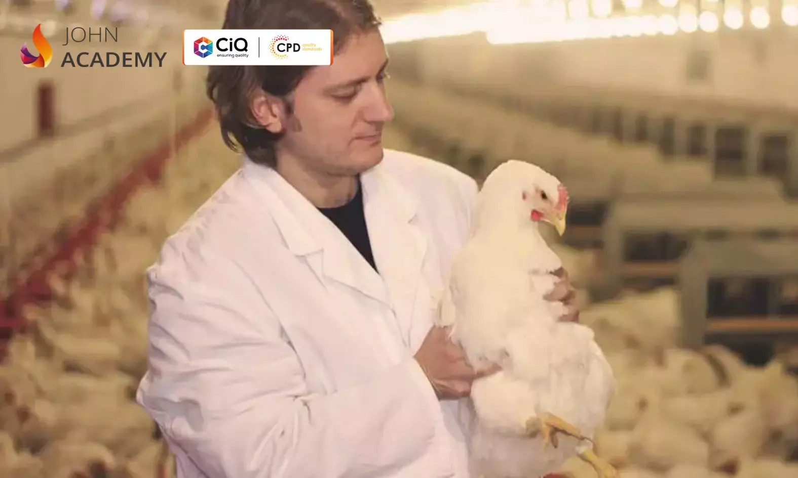 Get Certified in Poultry Farming with  Comprehensive Diploma Course Online (Up to 71% Off) at John Academy - Primary Image
