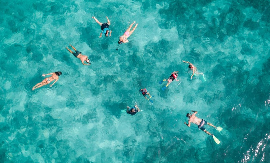 Image 1: Island Freedom, Quick Escape Ferry Pass, Full Day Boat Tour, and More