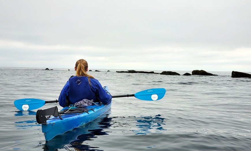 Image 4: Kayak Tours & Water Rentals for 2 or 4