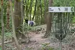 1x Disc Golf Spielrunde inkl. 1 Getränk pro Person für 2 Erwachsene oder für eine Familie (bis zu 28% sparen) - Second Medium
