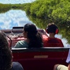 Image 5: Airboat Tours in the Loxahatchee Everglades