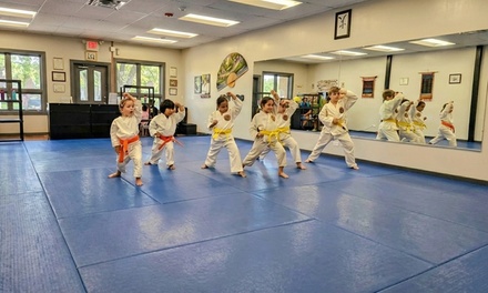 One Month of Children Martial Arts Classes (Ages 4-6) - Tora Dento Martial Arts LLC
