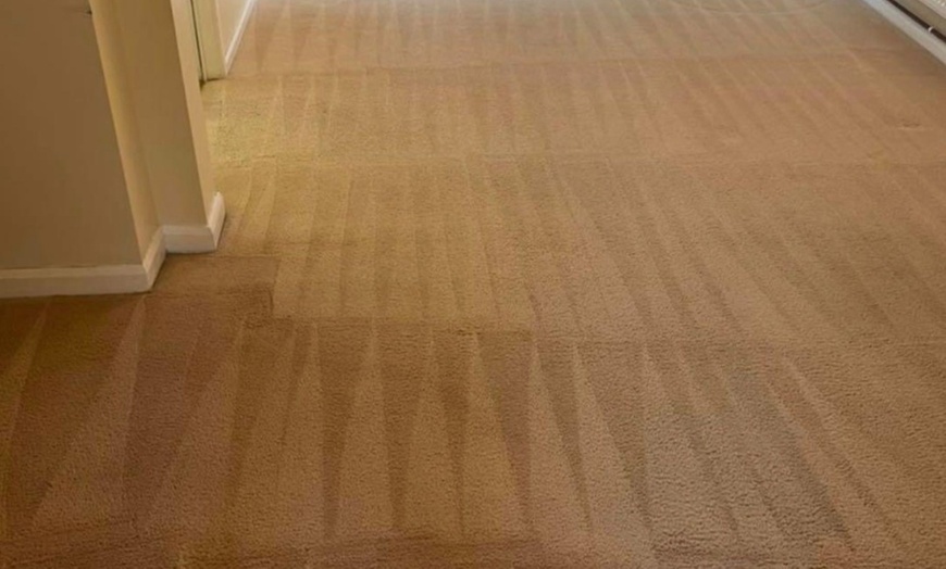 Image 6: Discover Expert Care: Carpet Cleaning for 1, 2 or 3 Rooms and Landing