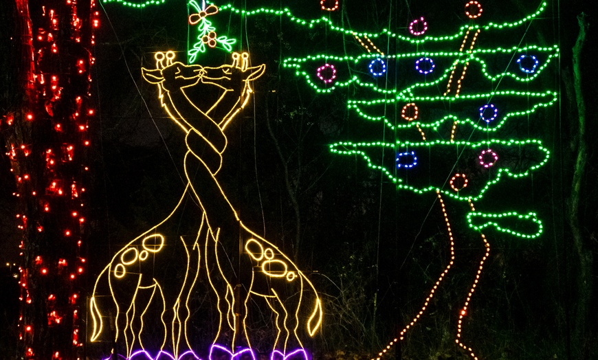 Image 6: Entry to Branson's Premier Drive-Thru Christmas Lights Show