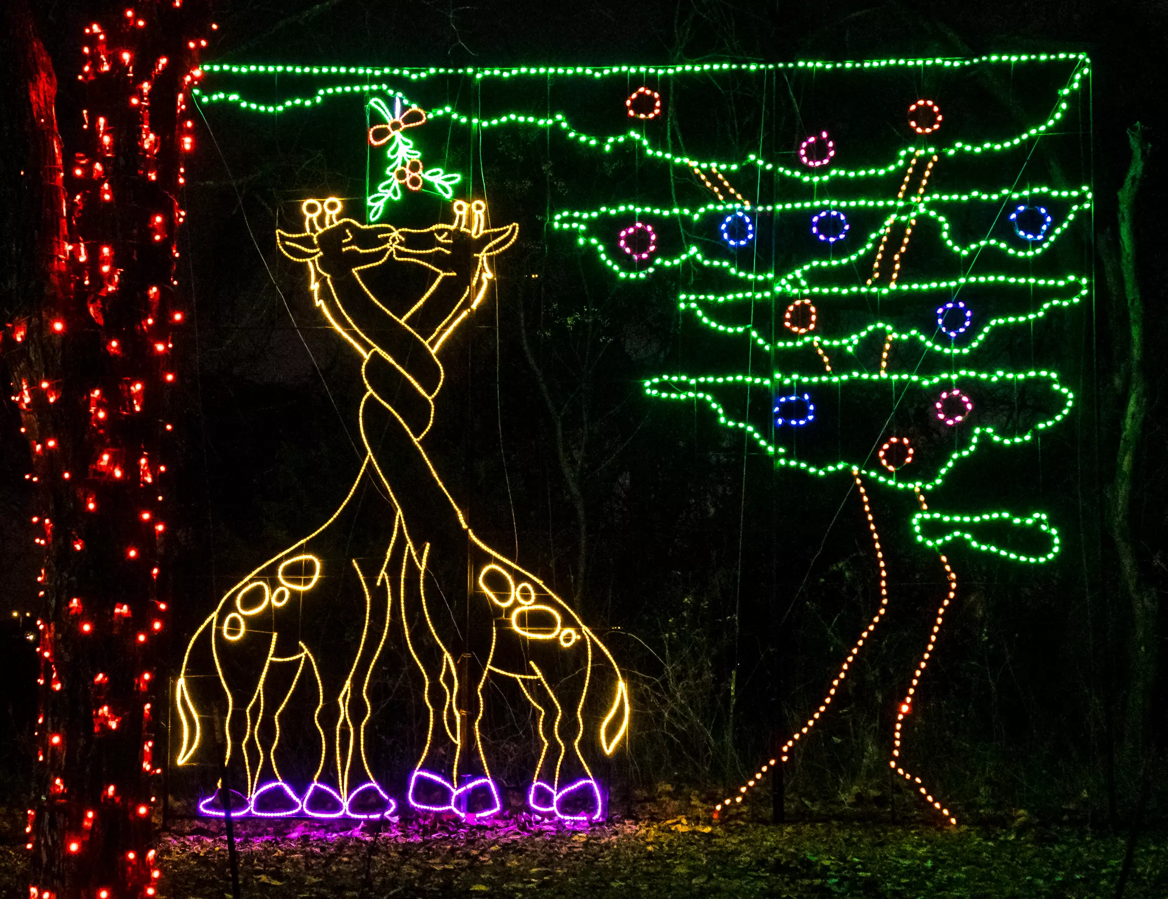 Entry to Branson's Premier Drive-Thru Christmas Lights Show