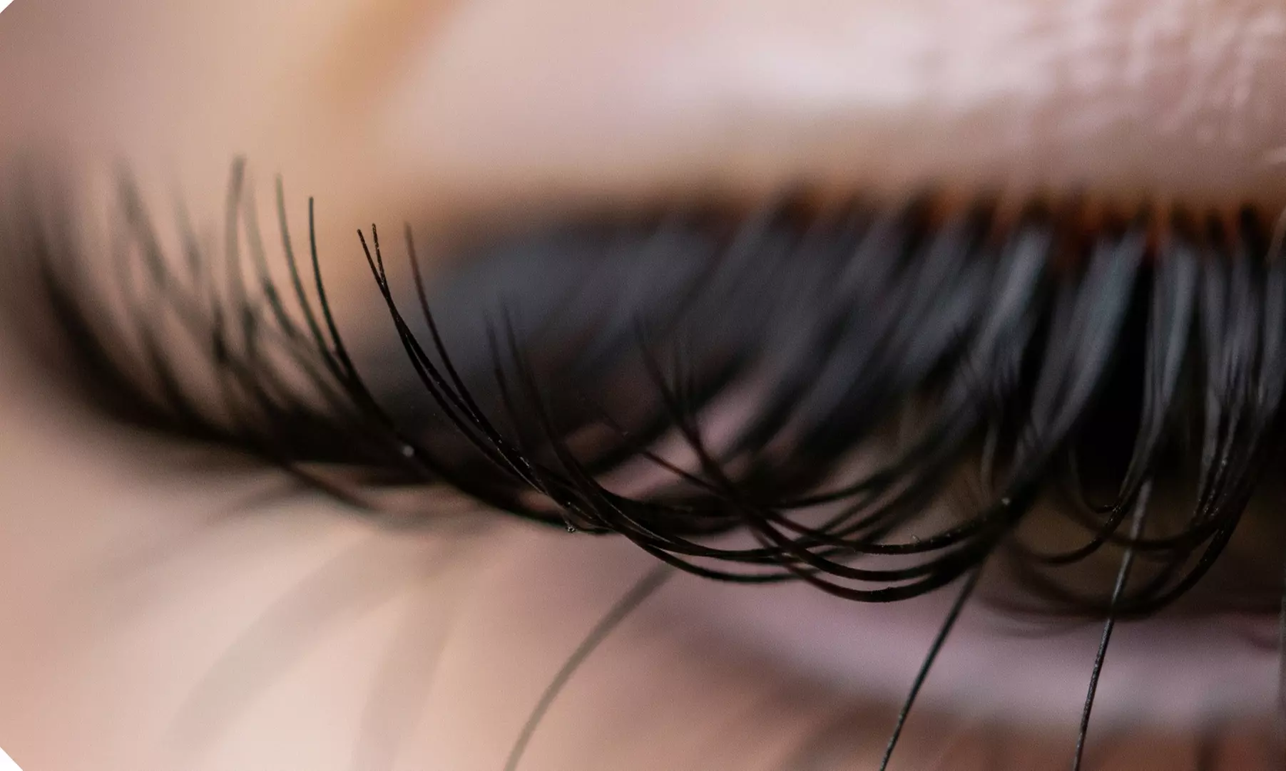 Classic Eyelash Extensions or Skin Needling Face Treatment For One