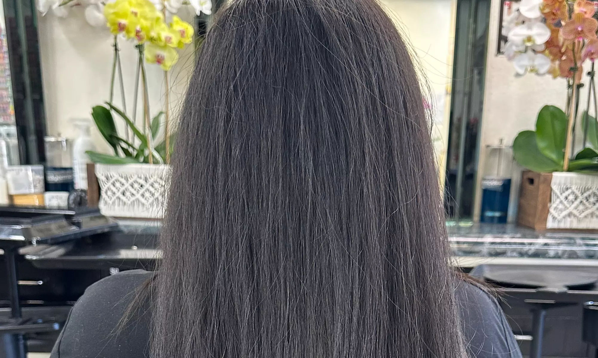 Haircut w/ Condition, Blow-Dry & Optional Single Process or Highlights
