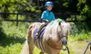 Up to 28% Off on Horse Back Riding at SNS Equine