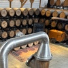 Image 2: Delve into Bourbon Bites' Kentucky Distillery Tour for One