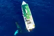 Morning Lana‘i Snorkeling Tour or Book a Private Charter with Kaanapali Ocean Adventures (Up to 10% Off)
 - Second Medium